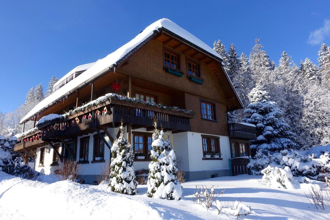 Hollhouse - Bed & Breakfast Hinterzarten Eksteriør bilde
