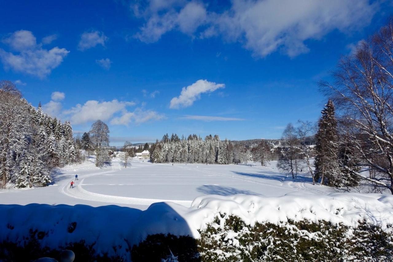 Hollhouse - Bed & Breakfast Hinterzarten Eksteriør bilde