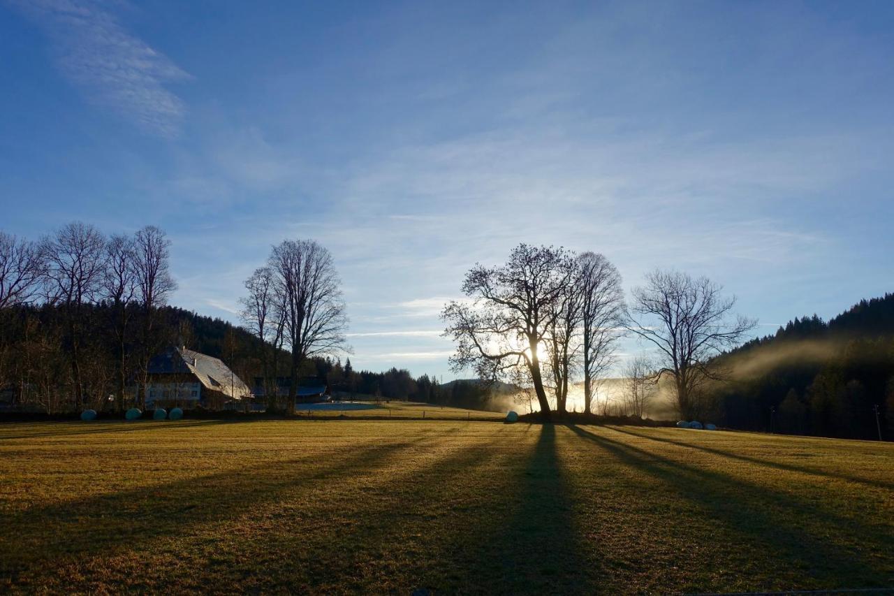 Hollhouse - Bed & Breakfast Hinterzarten Eksteriør bilde