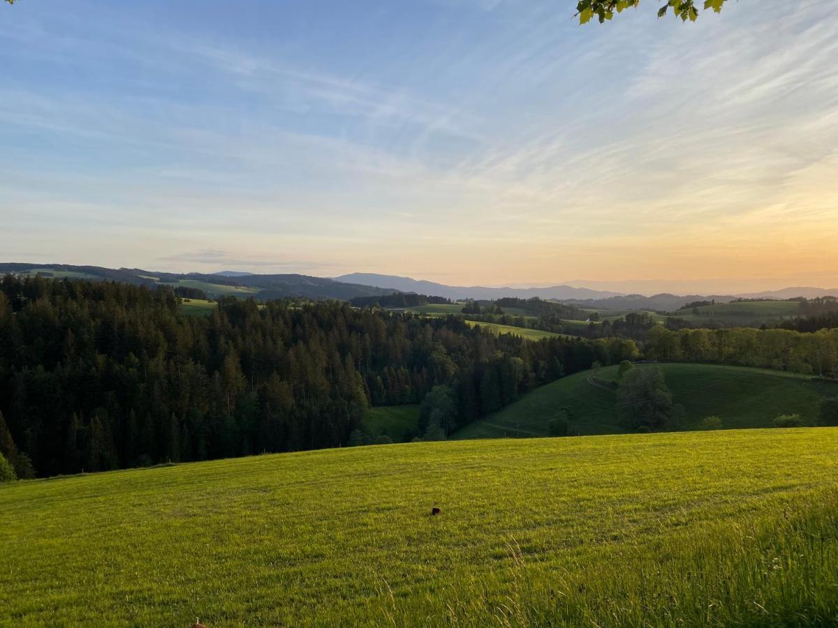 Hollhouse - Bed & Breakfast Hinterzarten Eksteriør bilde