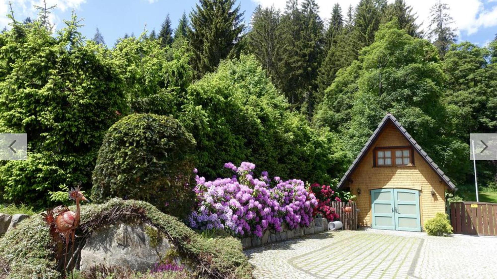 Hollhouse - Bed & Breakfast Hinterzarten Eksteriør bilde