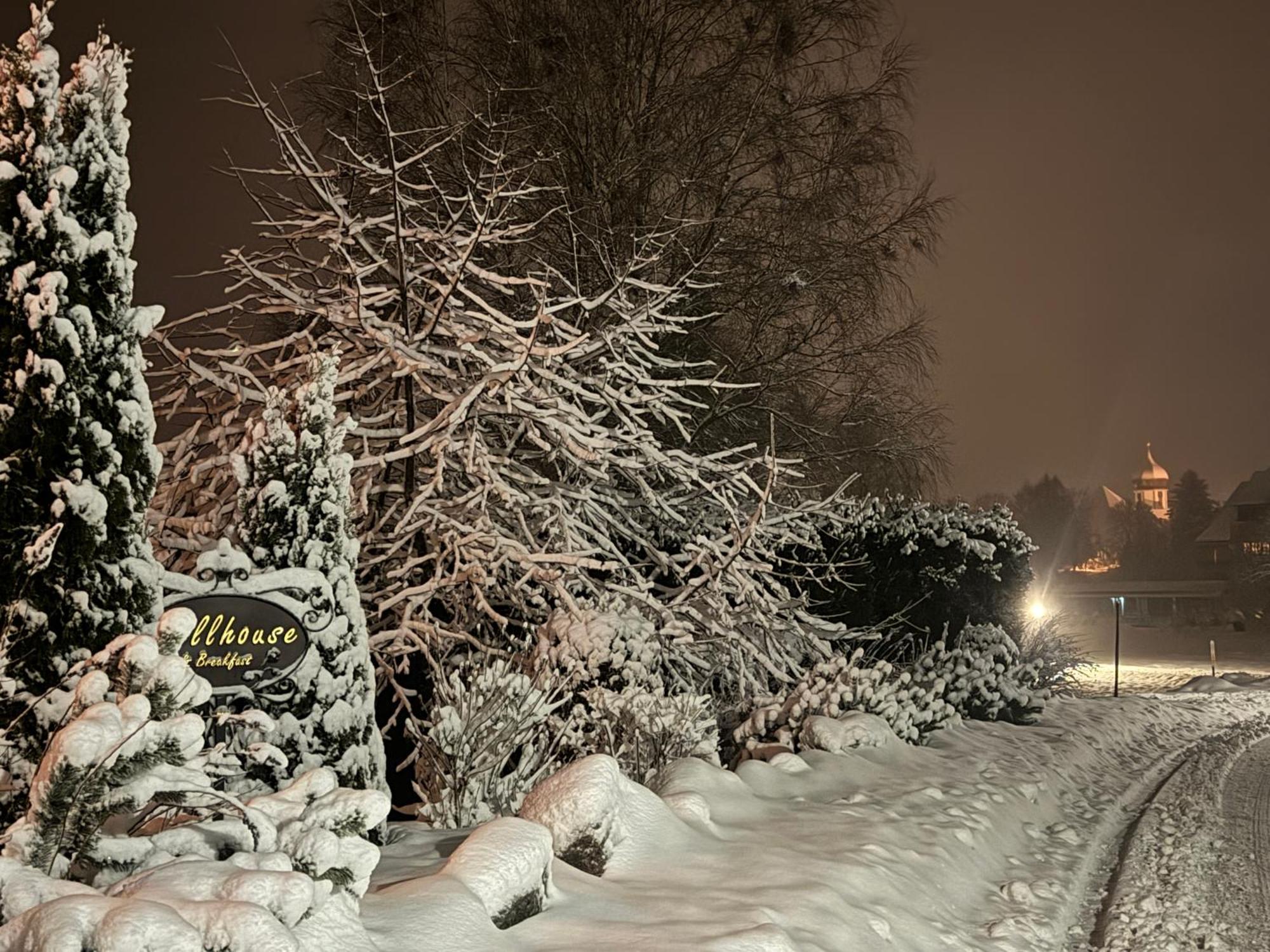 Hollhouse - Bed & Breakfast Hinterzarten Eksteriør bilde