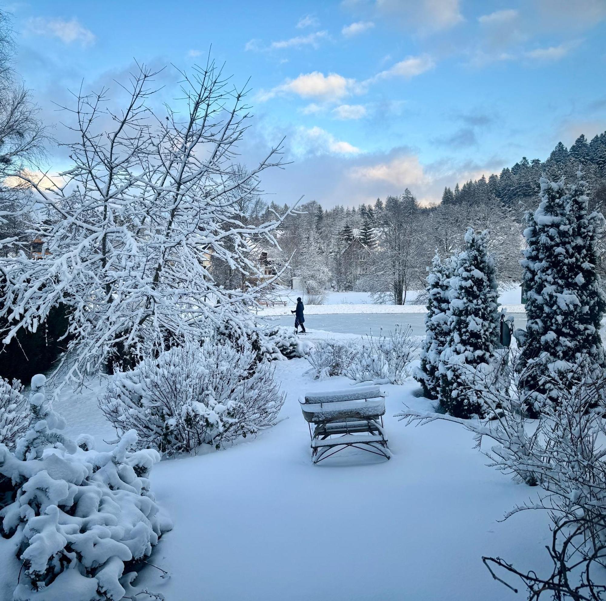 Hollhouse - Bed & Breakfast Hinterzarten Eksteriør bilde